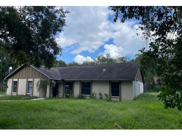 Ranch style home with mature landscaping at 8602 Stoner Rd, Riverview, FL 33569