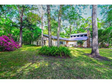 Ranch home with mature landscaping and stone chimney at 244 Lark Ave, Brooksville, FL 34601