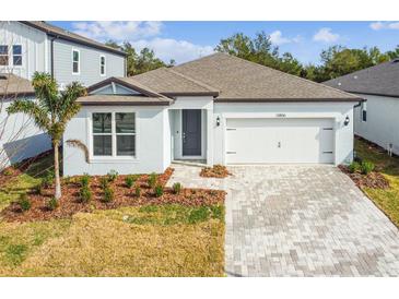 One-story home with light blue exterior, two-car garage, and landscaped yard at 13806 Sunlight Meadow Dr, Riverview, FL 33578