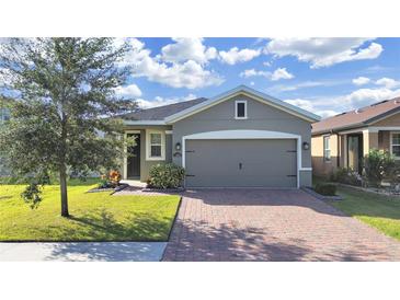 Gray one-story house with a two-car garage and landscaped front yard at 11633 Mandevilla View Way, Riverview, FL 33579