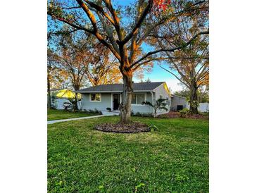 Newly renovated home with a well-manicured lawn and mature trees at 6338 8Th S Ave, Gulfport, FL 33707