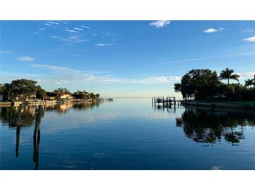 Peaceful waterfront view with calm water and luxurious homes at 1331 Brightwaters Ne Blvd, St Petersburg, FL 33704