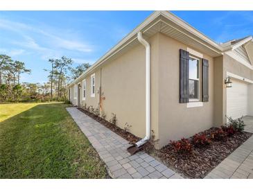 Home exterior showcasing a walkway and landscaping at 6092 Timberdale Ave, Wesley Chapel, FL 33545