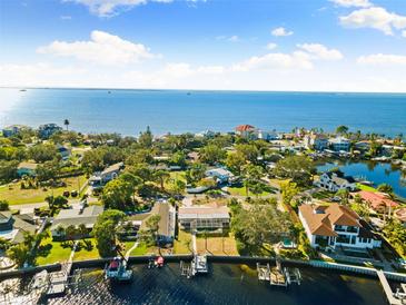 Aerial view of waterfront homes with lush landscaping and boat docks at 152 Carlyle Dr, Palm Harbor, FL 34683