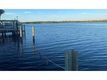 Scenic waterfront view with a calm blue water and a clear sky at 152 Carlyle Dr, Palm Harbor, FL 34683