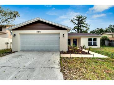 Newly constructed home with a modern design, featuring a two-car garage and well-manicured landscaping at 14813 Oak Vine Dr, Lutz, FL 33559