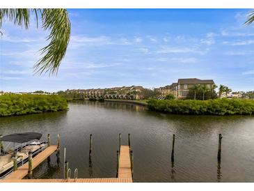 Community boardwalk with boat docks and serene waterfront views at 8814 Bay Pointe Dr # 204, Tampa, FL 33615