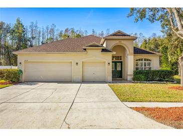 Tan house with three-car garage, lush landscaping, and a charming front entrance at 18214 Stillwell Ln, Tampa, FL 33647