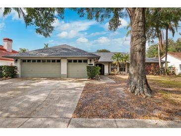 Two-car garage, mature landscaping, and a spacious front yard at 15106 Meadowlake St, Odessa, FL 33556