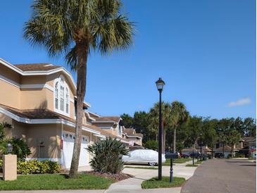 Exterior view of townhouses with palm trees and a paved road at 3077 Branch, Clearwater, FL 33760