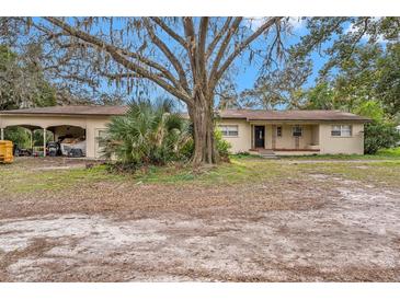 Ranch-style home with carport and mature landscaping at 10809 Bartolotti Loop, Seffner, FL 33584