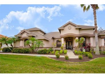 Two-story house with landscaped yard, stone accents, and palm trees at 1655 Canopy Oaks Blvd, Palm Harbor, FL 34683