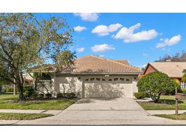 Single-story home with a two-car garage and well-maintained landscaping at 3621 Darston St, Palm Harbor, FL 34685