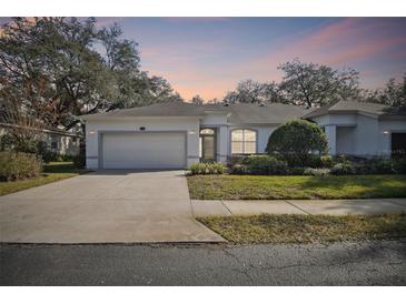 Inviting one-story home with a two-car garage and landscaped front yard at 8529 Alexandra Arbor Ln, Temple Terrace, FL 33637