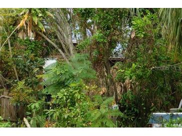 Overgrown lot with mature trees and dense vegetation at 419 64Th S Ave, St Petersburg, FL 33705