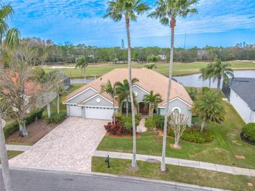 Luxury home on golf course with pool and large lot at 12113 Marblehead Dr, Tampa, FL 33626