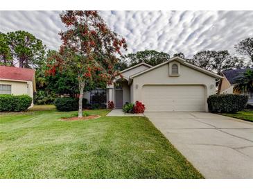 Single-story home with attached garage and manicured lawn at 8727 Huntfield St, Tampa, FL 33635