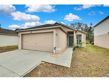Beige house with a two-car garage and a small front yard at 30618 Birdhouse Dr, Wesley Chapel, FL 33545