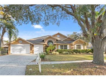 Charming single-story home boasts a well-manicured lawn, three-car garage, and inviting curb appeal at 8701 Ballantrae Way, Tampa, FL 33647