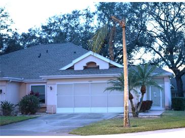 Exterior view of a single-story house with a two-car garage and landscaping at 2320 Marksmen Ct # 205, Sun City Center, FL 33573