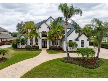 Two-story house with palm trees and a landscaped yard at 6249 Kingbird Manor Dr, Lithia, FL 33547