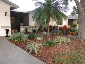 Landscaped front yard with palm trees, decorative shrubs, and a paved walkway at 1318 Leland Dr, Sun City Center, FL 33573