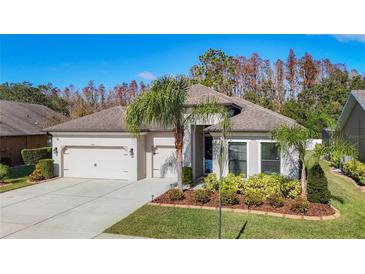 One-story home with two-car garage, landscaping, and palm tree at 4903 Diamonds Palm Loop, Wesley Chapel, FL 33543