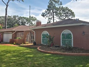 House exterior with unique painted windows, landscaping, and a large yard at 2280 Toniwood Ln, Palm Harbor, FL 34685