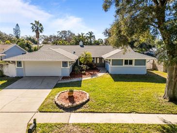 Attractive single-story home with a well-manicured lawn and driveway at 1626 Spottswood Cir, Palm Harbor, FL 34683