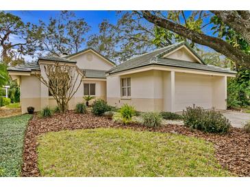 One-story house with a garage and well-manicured lawn at 15890 Sanctuary Dr, Tampa, FL 33647