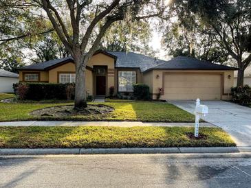 Charming single-story home with a well-maintained lawn and mature trees providing shade at 19809 Wyndham Lakes Dr, Odessa, FL 33556