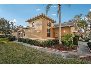 Tan house with palm trees, landscaped yard, and walkway at 1141 Jameson Greens Dr # 3, Sun City Center, FL 33573