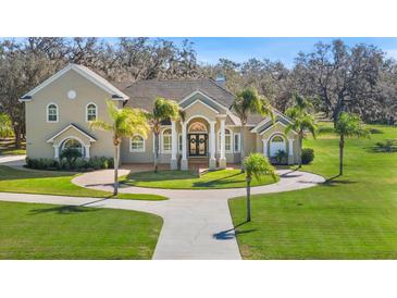 Two-story home with circular driveway and lush landscaping at 11518 Hammock Oaks Ct, Lithia, FL 33547