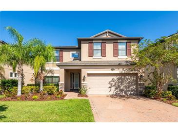 Two-story house with a two-car garage, palm trees, and manicured lawn at 19510 Whispering Brook Dr, Tampa, FL 33647