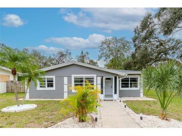 Newly renovated gray house with walkway and tropical landscaping at 1341 Springdale St, Clearwater, FL 33755