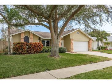 Tan house with a large tree, green lawn, and white garage door at 3048 Orchard Dr, Palm Harbor, FL 34684