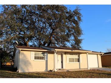 Tan house with attached garage, and large oak tree in front yard at 9116 Chantilly Ln, Port Richey, FL 34668