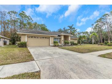 Tan house with a two-car garage and nicely landscaped lawn at 599 Centerwood Dr, Tarpon Springs, FL 34688