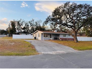 Ranch-style home with a long driveway and a large tree in the front yard at 6040 Antrim St, New Port Richey, FL 34653