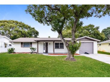 Charming single story home with mature landscaping and a two car garage at 7930 Datura Lane Ln, New Port Richey, FL 34653