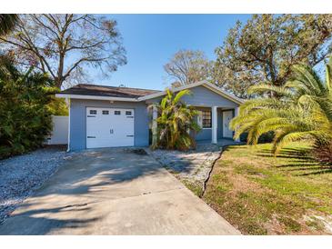 Well-maintained single-story home featuring a lush lawn and a practical driveway at 8307 Boxwood Dr, Tampa, FL 33615