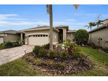 Tan one-story house with a two-car garage and landscaped front yard at 1531 Riverdale Dr, Oldsmar, FL 34677