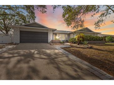 House exterior featuring a gray garage door, landscaping, and a walkway at 1695 Honeybear Ln, Dunedin, FL 34698