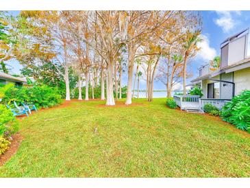 Expansive backyard featuring lush green grass, mature trees, and tranquil water views at 90 S Highland Ave # 7, Tarpon Springs, FL 34689