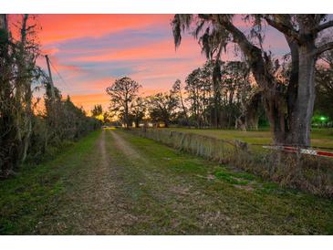 Long driveway leading to a charming home under a beautiful sunset, surrounded by lush greenery at 10601 Paul S Buchman, Plant City, FL 33565