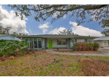 Charming ranch home with green door and landscaped yard at 4619 W Bay Villa Ave, Tampa, FL 33611