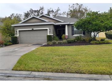 One-story house with gray siding, two-car garage, and landscaped lawn at 2815 Holly Bluff Ct, Plant City, FL 33566