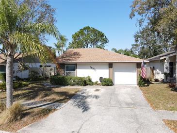 Charming single-story home with a well-maintained lawn and a two-car garage, great curb appeal at 10303 Chadbourne Dr, Tampa, FL 33624