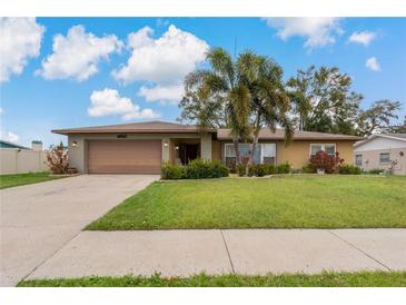 Single-story home with attached garage, palm tree, and well-maintained lawn at 3527 Yale Cir, Riverview, FL 33578