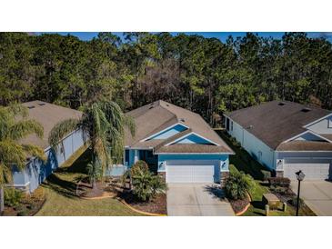 Single-Gathering home with attached garage, landscaping, and tree-lined street at 11036 Paradise Point Way, New Port Richey, FL 34654